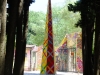DSCF3970