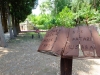 DSCF3977