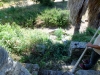 DSCF4058