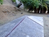 DSCF4135