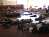 Workcamps in Catalonia 2010