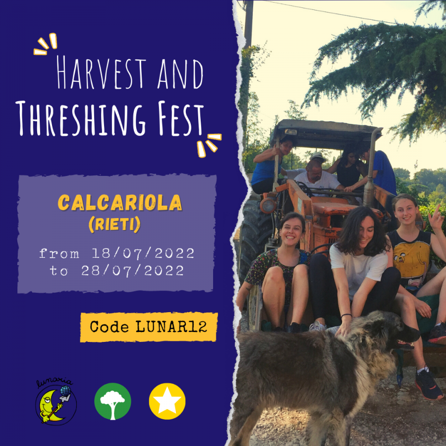 lnar12_Calcariola_workcamp
