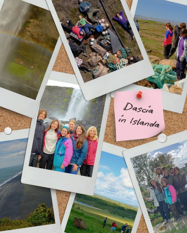 Volontariato in Islanda con SEEDS: Dascia racconta la sua esperienza di 2 settimane ad Álviðra tra fotografia, sostenibilità e natura. Scopri i campi 2025!